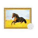 Картина по номерам Art Gallery GB81395 Mozaic cu diamante 30x40cm Cal in lan de grau