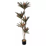 Искусственное растение Deco Arbore Dracaena Red 220