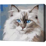 Картина по номерам BrushMe RMG0001FC 30x40сm (fără cutie) Pisică Birmană