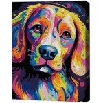 Картина по номерам BrushMe RMGB012FC 30x40сm (pânză neagră/fără cutie) Privire blândă