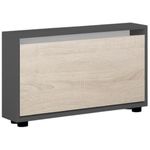 Raft pentru încălțăminte Mobildor-Lux Leo Slim 100x16x47H cm Anthracite/Sonoma