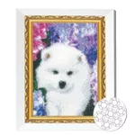 Картина по номерам Art Gallery JS27508 Mozaic cu diamante 20x30cm Catelus alb pufos