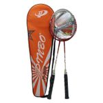 Спортивное оборудование misc 8872 Palete badminton (2 buc) cu husa2011-227