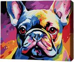 Tablou pe numere BrushMe RMGB011FC 30x40сm (pânză neagră/fără cutie) Bulldog colorat