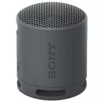 {'ro': 'Boxă portativă Bluetooth Sony SRSXB100B', 'ru': 'Колонка портативная Bluetooth Sony SRSXB100B'}