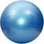 Мяч Dayu DY-GB-070-75 (Blue)