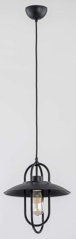 60456 Подвес Salix 1л