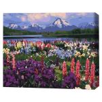 Картина по номерам BrushMe BS21019 (în cutie) Valea florilor de câmp