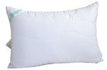 Set de perne si plapume Relaxe Home 019812 Perna ALOE VERA (50x70)