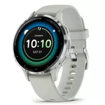 Смарт часы Garmin Venu 3S Sage Gray/Passivated (010-02785-01)