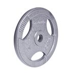 Disc din metal 15 kg, d=30 mm Hamerton 12712 (1177) inSPORTline