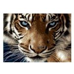 Картина по номерам Richi (06278) Mozaic cu diamante Privire de tigru 40x50