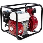 Насос Micul Fermier presiune inalta 2 (GF-2048)