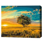 Tablou pe numere BrushMe BS52578 40x50сm (în cutie) Apus de aur