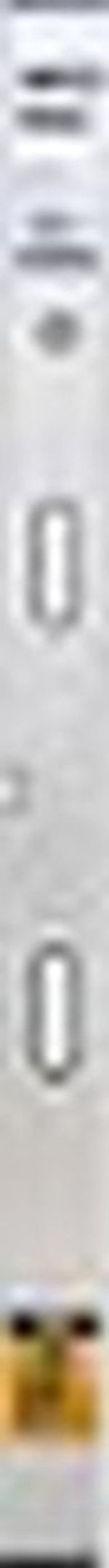 Уровень MPN 42033 Dreptar 200cm, 2 capsule, vert./horiz. cu mâner (MP-1467)