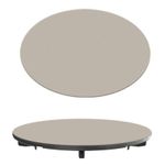 Accesoriu pentru chiuvete de bucătărie Reginox R41444 Wasteplug cover plate Champagne