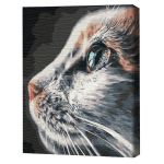 Картина по номерам BrushMe RBS51792FC 30x40cm (fără cutie) Profil de pisică
