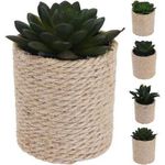 Decor Promstore 41704 Цветок искусственный Суккулент 14x8cm