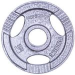 Гантель inSPORTline 327 Disc d=30 mm metal 1,25 kg Hamerton 12708