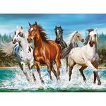 Головоломка Castorland Puzzle C-200702 Puzzle 2000 elemente