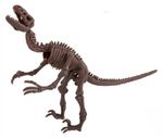 Set de creație 4M 00-13234 Velociraptor Skeleton