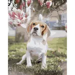 Картина по номерам Strateg R 9 /13 (GS944)(49337) Beagle sub magnolia, 40x50 cm