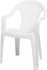 CT010 alb scaun plastic