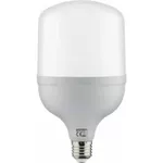 Лампочка Horoz TORCH-50 50W 6400K