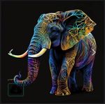 Tablou pe numere Strateg 57215 Elefant colorat 40x40cm (fundal negru)