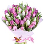 45 Разноцветных тюльпанов