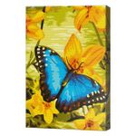 Картина по номерам Art Gallery CX3546 20x30cm Fluture pe narcis