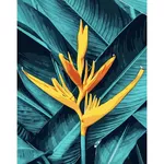 Картина по номерам Strateg R 9 / 9 (GS1540)(61094) Floare galbena, 40x50 cm
