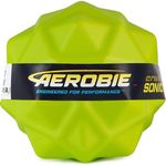 Мяч Spin Master 6066382 Aerobie Sonic Bounce Ball