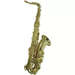 Духовой инструмент Parrot 6435L saxofon tenor