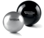 Мяч Technogym Wellness Ball Training (4782)