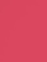 Фон Бумажный Creativity Graund   2,72 х 11,0 м Watermelon 111291