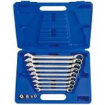 Cheie fixă King Tony 13113MR ключи комбинированные с трещоткой 8-19мм 13 пр. пласт.кейсе