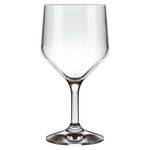 Pahar NADIR NR-J700 (pentru vin rosu 6 buc/300 ml)