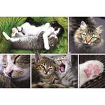 Puzzle Trefl 26145 Puzzle 1500 Motanasii