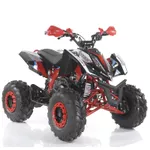 ATV pe benzină GEON FALCON 125