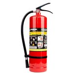 Accesoriu auto Pigeon Stingator SP-4 (4 kg)