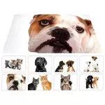 Товар для животных Promstore 42591 Коврик для животных 56x37cm, пластик