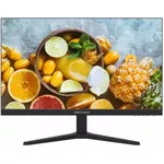 Monitor Hikvision DS-D5024FN11