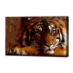 Картина по номерам Art Gallery CX4462 20x30cm Tigru serios