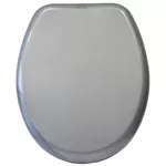 Capac WC Bisk 05867 IRIS metalic