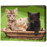 Tablou pe numere BrushMe RBS52621FC 30x40 сm (fără cutie) Pisoi în coș