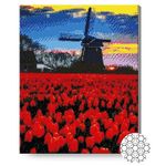 Картина по номерам Art Gallery GA87317 Mozaic cu diamante 40x50cm Camp de lalele langa moara