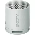 {'ro': 'Boxă portativă Bluetooth Sony SRSXB100H', 'ru': 'Колонка портативная Bluetooth Sony SRSXB100H'}