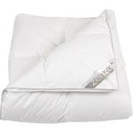 Plapumă Polydaun 1PZR6124220 Zenzo Robyn 240x220 White