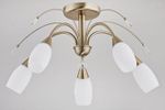 Люстра Baster 22815 5л